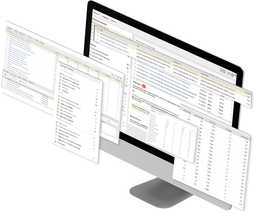 Website structure analysis for Miami business